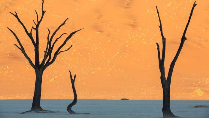 Desertul Namib